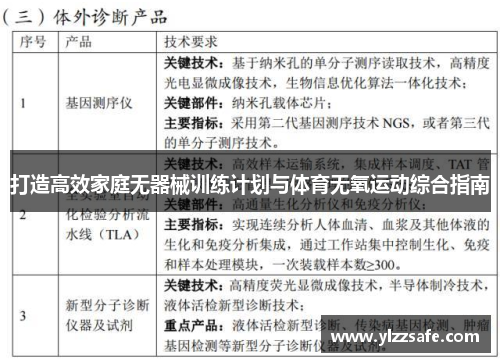 打造高效家庭无器械训练计划与体育无氧运动综合指南